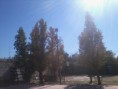 /album/escuela-gral-san-martin/a563242-390322714341096-553768624-n-jpg/