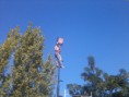 /album/escuela-gral-san-martin/a578287-390322587674442-1988581361-n-jpg/
